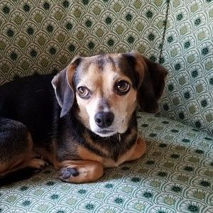 Meet your Posher, Teresa